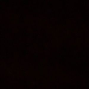 Meet your Posher, Ray